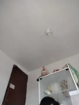 gabii_hardy webcam