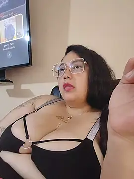 AvaRyd webcam