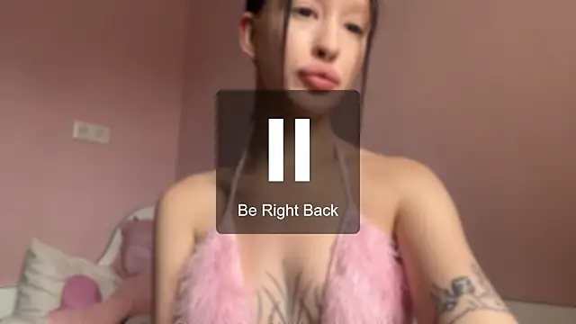FillynuPi webcam