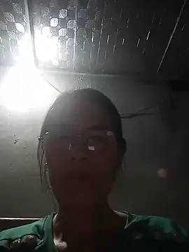 toyo_668 webcam