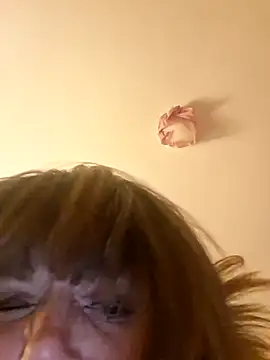 NovaVade webcam