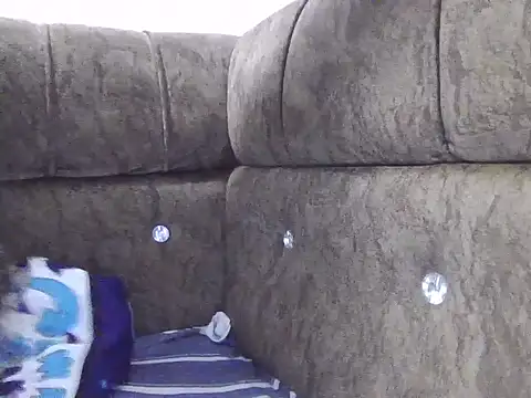 Nolyps webcam