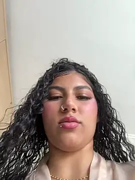 brizzmotion webcam