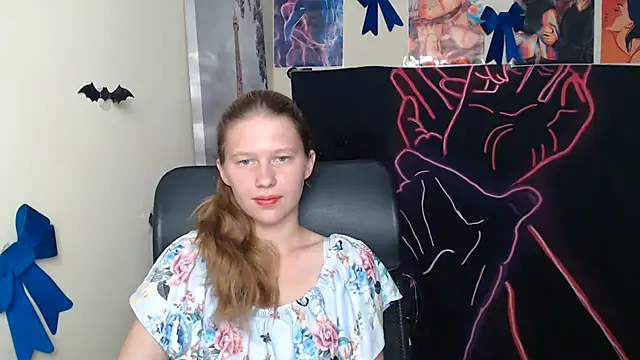 StellaCRL webcam