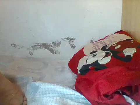 wetquick22 webcam