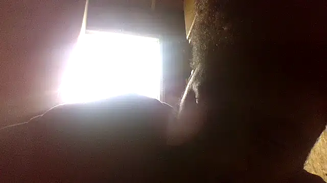 dvaughn3117 webcam
