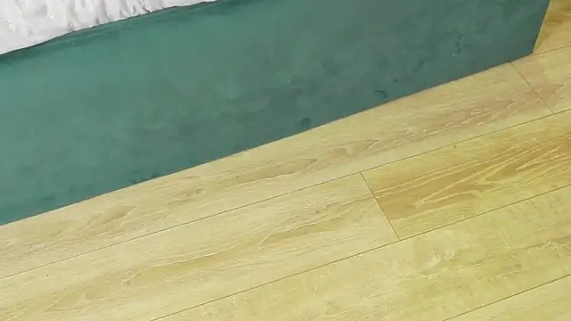 AryaEve webcam