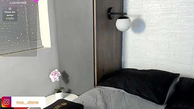 NoaStone_ webcam