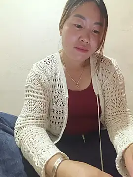 he-se-kin webcam