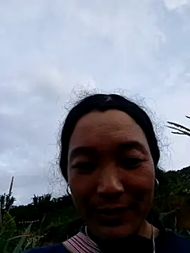 vanlucky2 webcam