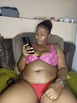 mptxl webcam