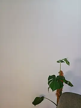 karenarango webcam