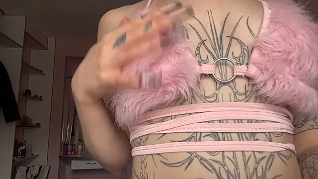 FillynuPi webcam