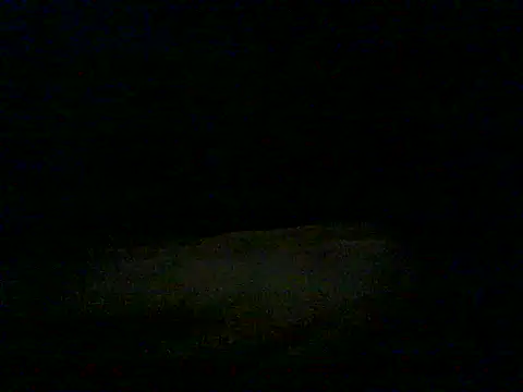 mannsex66 live cam