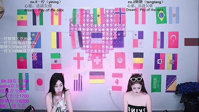 CCTW-100 webcam