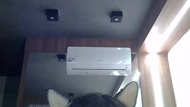 SkinnyKitten live cam