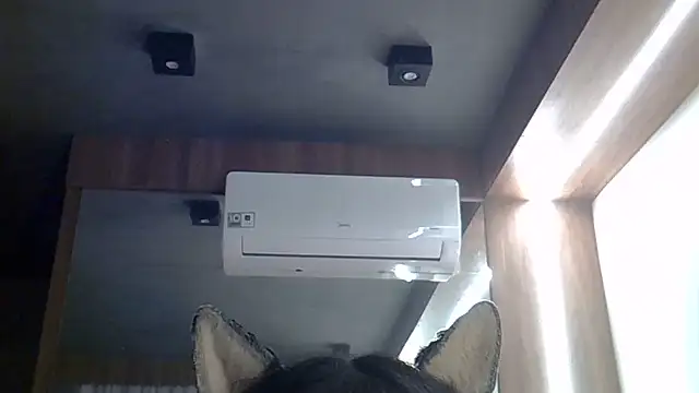 SkinnyKitten live cam