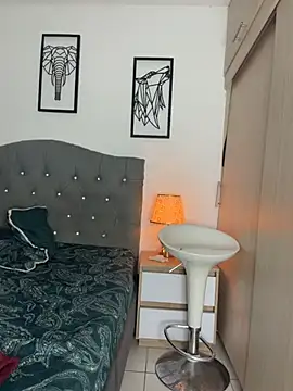 Maximiliano_ford webcam