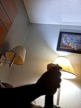 Mac15151 webcam