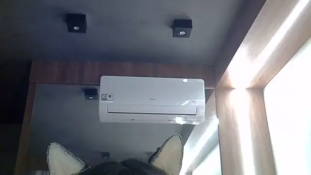 SkinnyKitten webcam