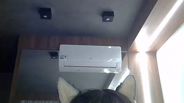 SkinnyKitten live cam