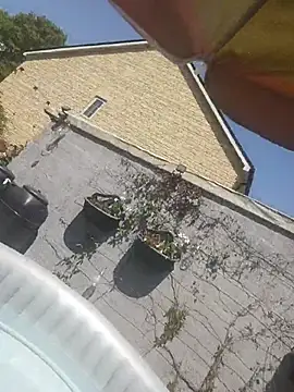 rob2810 webcam