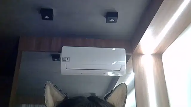 SkinnyKitten live cam on StripChat