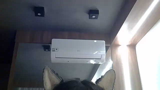 SkinnyKitten webcam