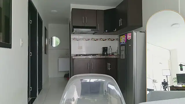 grey___27 webcam