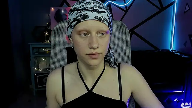 LidaDarknet webcam