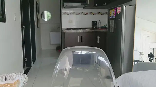 grey___27 webcam