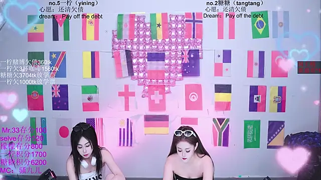 CCTW-100 webcam