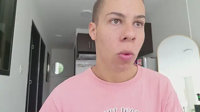 grey___27 webcam