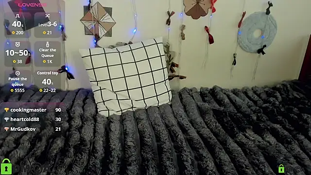 Vedime webcam