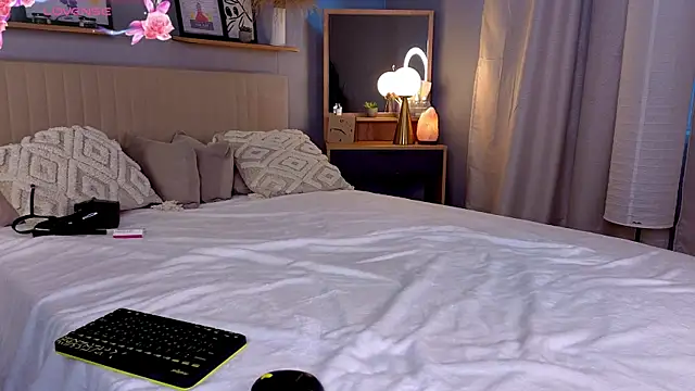 LollaStich webcam