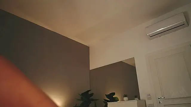 ValexieLux webcam