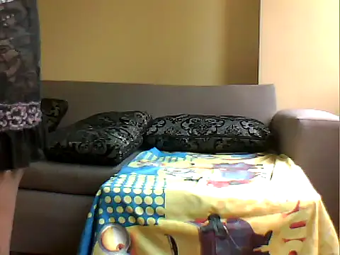 FINDMATE webcam