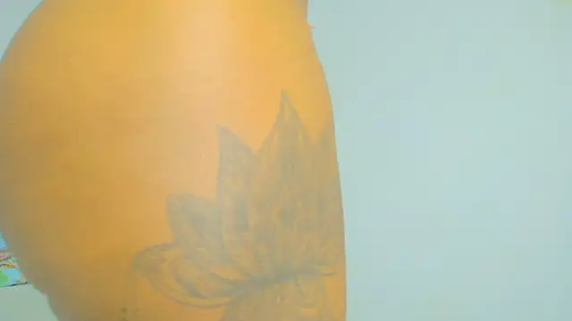 CaseyMoon webcam