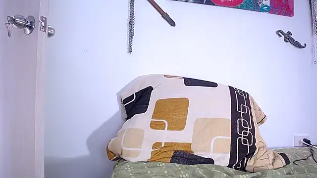 damn_fox webcam