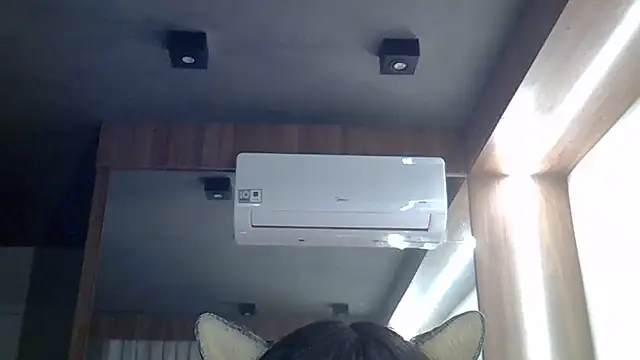 SkinnyKitten live cam on StripChat