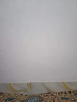 Hot_Angle webcam