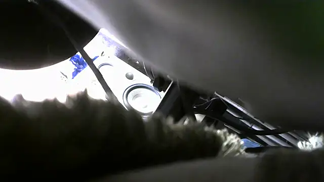 crassanova webcam