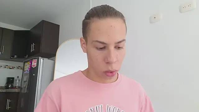 grey___27 webcam