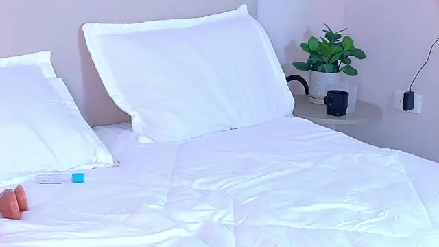 AkiraTamura webcam