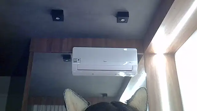 SkinnyKitten webcam