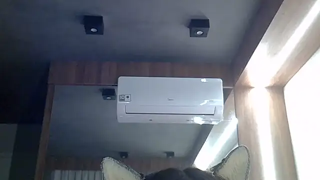 SkinnyKitten webcam