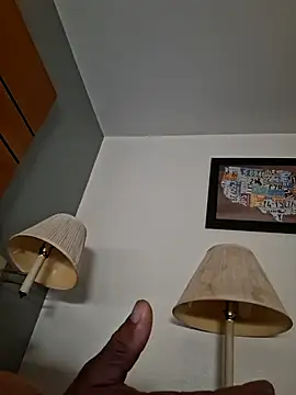 Mac15151 webcam