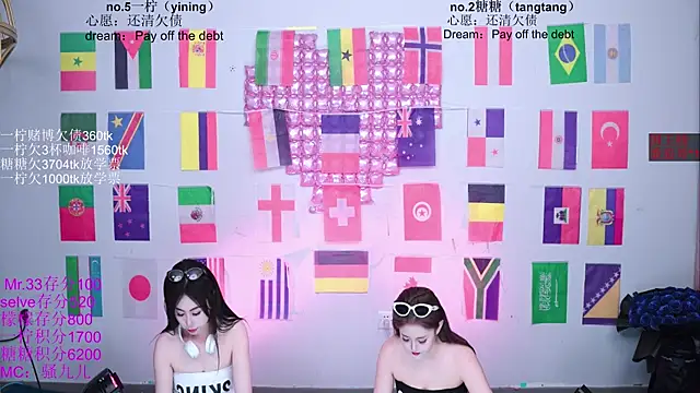 CCTW-100 webcam