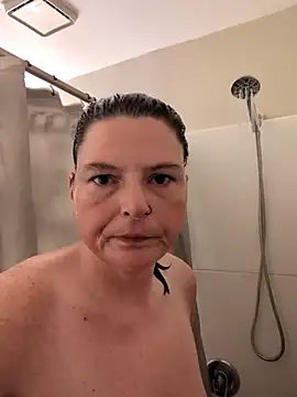 4dice06 webcam