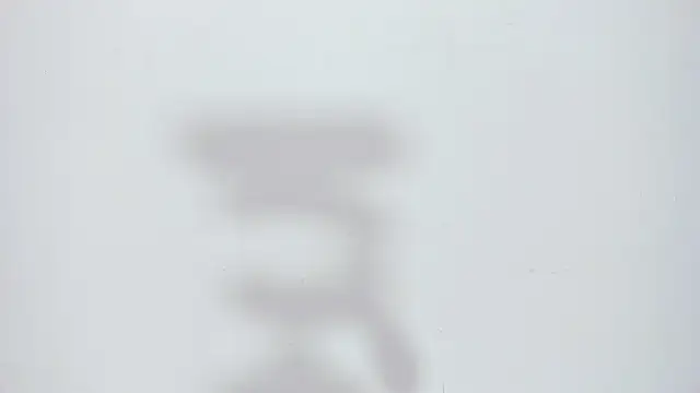 valentinasu webcam